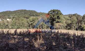 Imagem: Chácara à venda no bairro Bateias - Campo