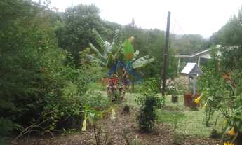 Imagem 5: Chácara à venda no bairro Centro - Bocaiúva do Sul/PR