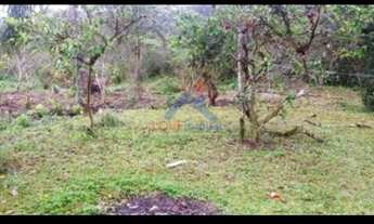 Imagem 2: Terreno Lote guaraguaçu pontal