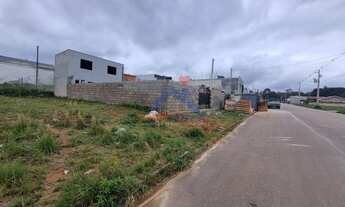 Imagem 3: Terreno à venda no bairro Eucalíptos - Fazenda Rio Grande/PR