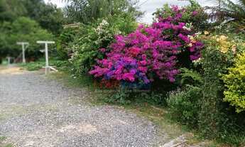 Imagem 7: Chácara à venda no bairro Centro - Balsa Nova/PR