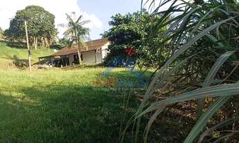 Imagem 6: Terreno à venda no bairro Rega Tres - Pomerode/SC