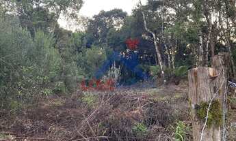 Imagem 2: Terreno à venda no bairro Borda do Campo - São José dos Pinhais/PR