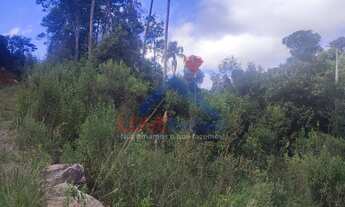 Imagem 3: Chácara à venda no bairro Espigão das Antas - Mandirituba/PR