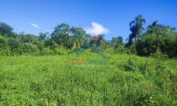 Imagem 6: Chácara à venda no bairro Espigão das Antas - Mandirituba/PR