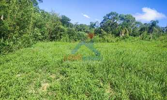 Imagem 2: Chácara à venda no bairro Espigão das Antas - Mandirituba/PR