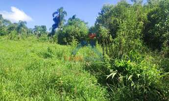 Imagem 7: Chácara à venda no bairro Espigão das Antas - Mandirituba/PR