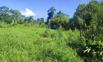 Imagem 4: Chácara à venda no bairro Espigão das Antas - Mandirituba/PR