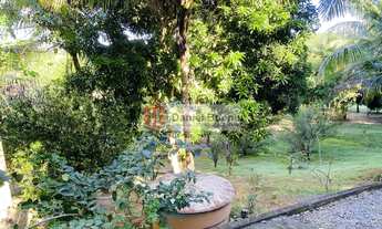 Imagem 4: Quintas do Castelo da Torre - Sítio Murado com 2 casas