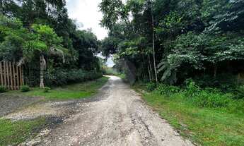 Imagem 4: Chácara em Jardim Florestal, Campo Largo/PR