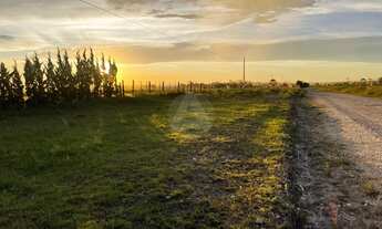 Imagem: Área à venda no bairro Centro - Balsa