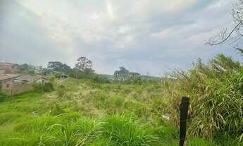 Imagem 2: ÓTIMO TERRENO LOCALIZADO NO BAIRRO ITAQUI EM CAMPO LARGO