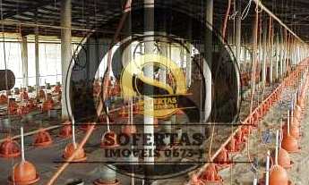 Imagem 7: Granja de engorda em Pocinhos PB