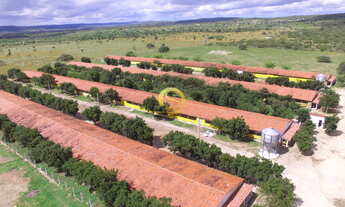 Imagem: Granja de engorda em Pocinhos PB