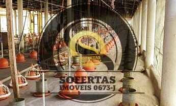 Imagem 6: Granja de engorda em Pocinhos PB