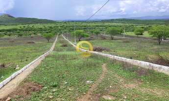 Imagem 6: Terreno Lote em Centro, Itatuba/PB