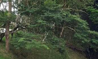 Imagem 2: Lote em condominio com preço de oportunidade posição Sul