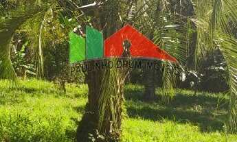 Imagem: REF.115 Terreno no bairro Ratones, Florianópolis