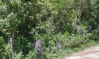 Imagem: Terreno à venda bairro Ratones, Florianópolis/SC