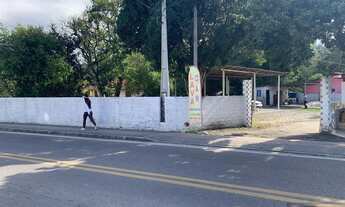 Imagem 3: REF. 313 Belíssima casa com terreno amplo e plano