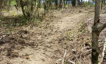 Imagem 4: REF. 311 Excelente terreno com escritura publica