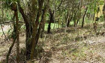 Imagem 6: REF. 311 Excelente terreno com escritura publica