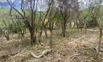 Imagem 2: REF. 311 Excelente terreno com escritura publica