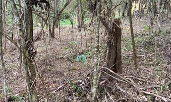 Imagem 7: REF. 311 Excelente terreno com escritura publica