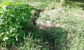 Imagem 6: REF. 294 Á venda terreno no bairro Ratones, Florianópolis/SC