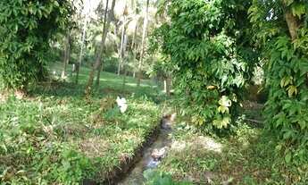 Imagem 7: REF. 294 Á venda terreno no bairro Ratones, Florianópolis/SC