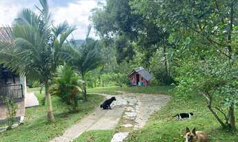 Imagem 4: REF. 298 Sítio com casa, amplo e sofisticado, com uma área de 5000m²