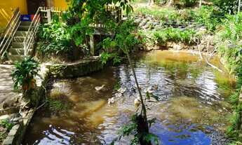 Imagem: Sítio disponível para você, confira e