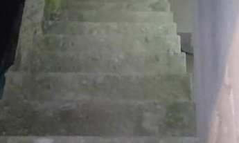 Imagem 4: REF. 295 Linda casa no bairro ratones