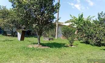 Imagem: Terreno no bairro do Ratones, Florianópolis/SC