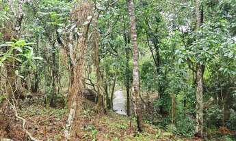 Imagem 2: Amplo terreno à venda no bairro Ratones, Florianópolis/SC