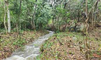 Imagem 3: Amplo terreno à venda no bairro Ratones, Florianópolis/SC