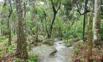 Imagem 4: Amplo terreno à venda no bairro Ratones, Florianópolis/SC