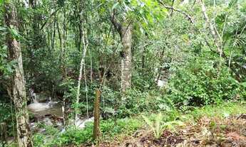 Imagem 5: Amplo terreno à venda no bairro Ratones, Florianópolis/SC