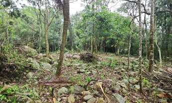 Imagem 7: Amplo terreno à venda no bairro Ratones, Florianópolis/SC