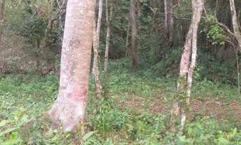 Imagem: REF. 190 Terreno Localizado no Ratones