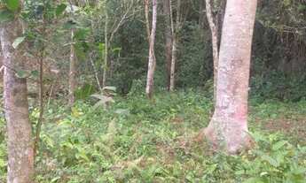 Imagem 5: REF. 190 Terreno Localizado no Ratones, Florianópolis- SC