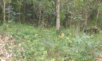 Imagem 3: REF. 190 Terreno Localizado no Ratones, Florianópolis- SC