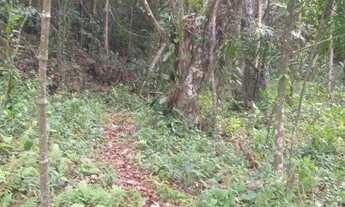 Imagem 7: REF. 190 Terreno Localizado no Ratones, Florianópolis- SC