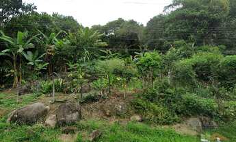 Imagem 2: REF. 380 Terreno à venda no bairro Ratones