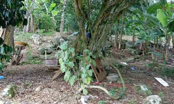 Imagem 4: REF. 380 Terreno à venda no bairro Ratones