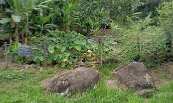 Imagem: REF. 380 Terreno à venda no bairro Ratones