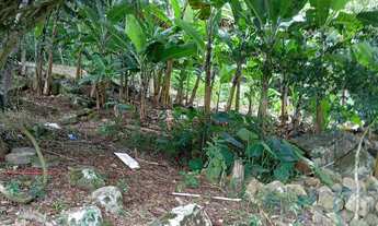 Imagem 7: REF. 380 Terreno à venda no bairro Ratones