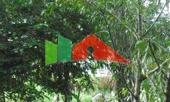 Imagem 5: REF 035; Lindo Sítio em Ratones, Florianópolis/SC