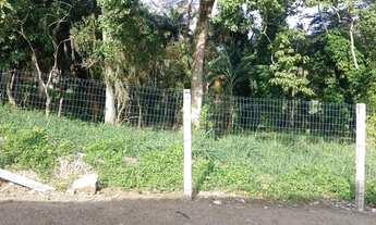 Imagem 6: REF. 331 Terreno à venda no Bairro Ratones, Florianópolis - SC