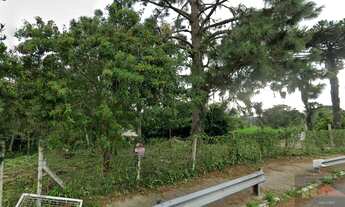 Imagem 2: REF. 331 Terreno à venda no Bairro Ratones, Florianópolis - SC